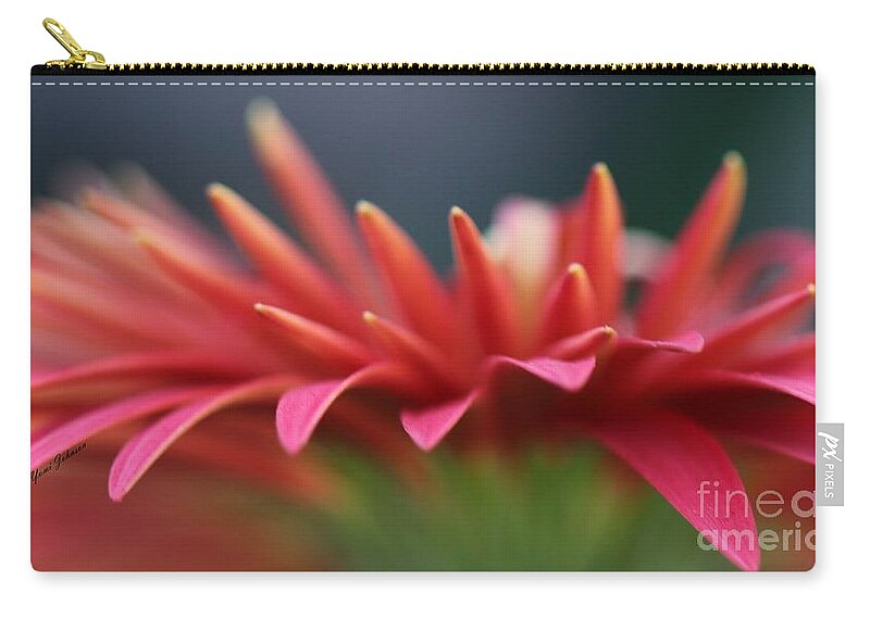Macro Zip Pouch featuring the photograph Tip of the flower petals by Yumi Johnson