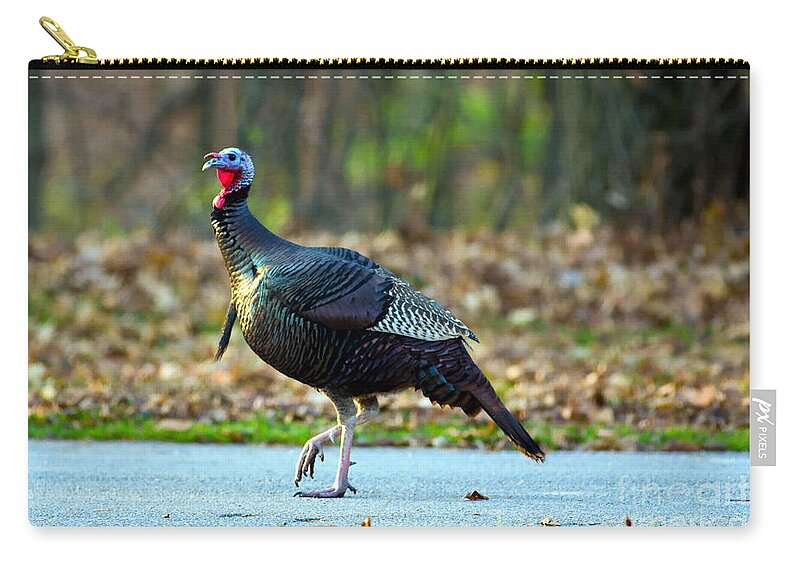 Mclean County Zip Pouch featuring the photograph TipToe Turkey Trot by Alan Look