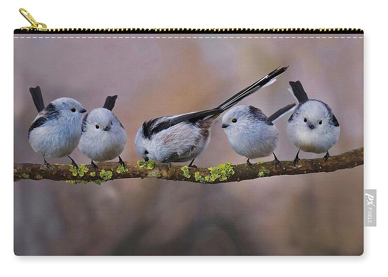 Titmouse Zip Pouch featuring the digital art Titmouse by Super Lovely