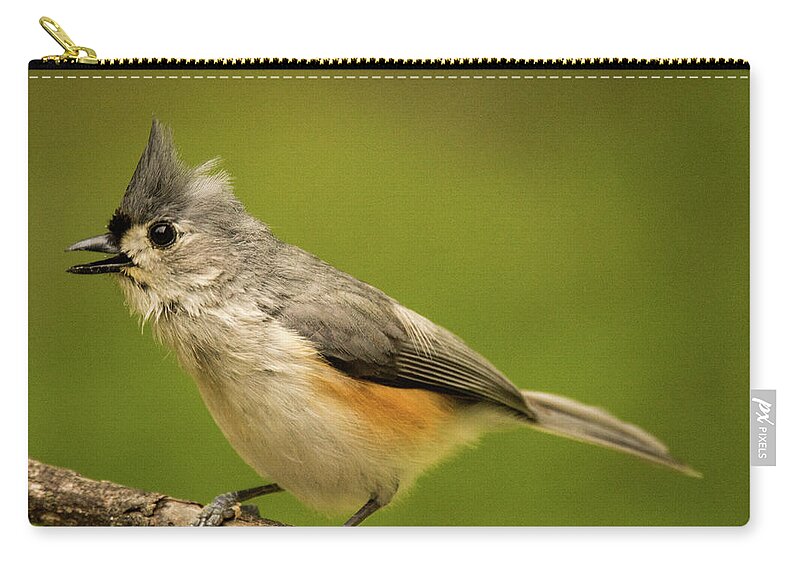 Titmouse Zip Pouch featuring the photograph Titmouse with Bad Hairdo 2 by Douglas Barnett