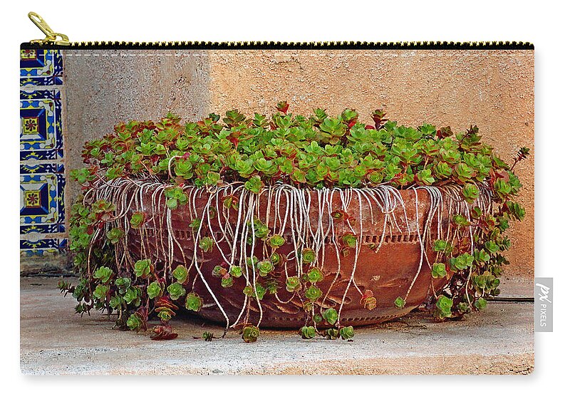 Tlaquepaque Zip Pouch featuring the photograph Tlaquepaque Potted Greens by Robert Meyers-Lussier