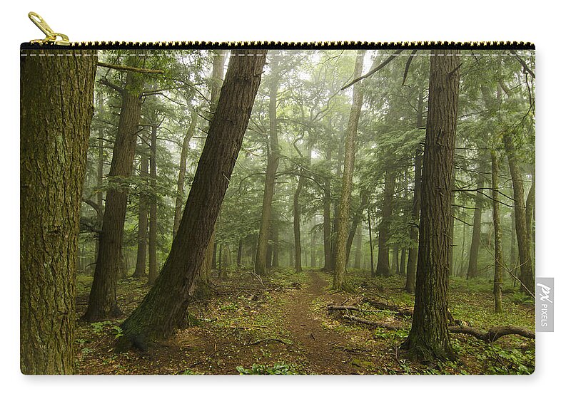 Porcupine Mountains Zip Pouch featuring the photograph To Grand Mother's House We Go by Steve L'Italien