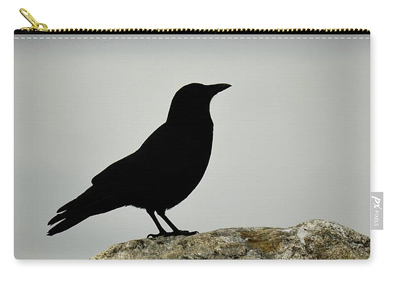 Bird Zip Pouch featuring the photograph To lose her again by J C