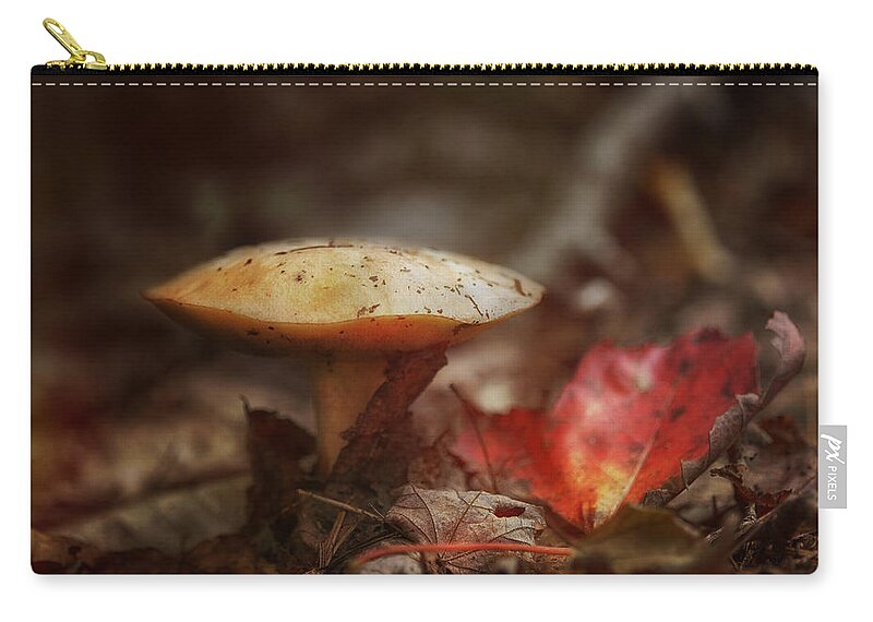 Sue Capuano Zip Pouch featuring the photograph Toasty Glow by Sue Capuano