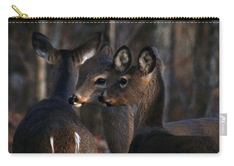 Deer Zip Pouch featuring the photograph Together by Bill Stephens