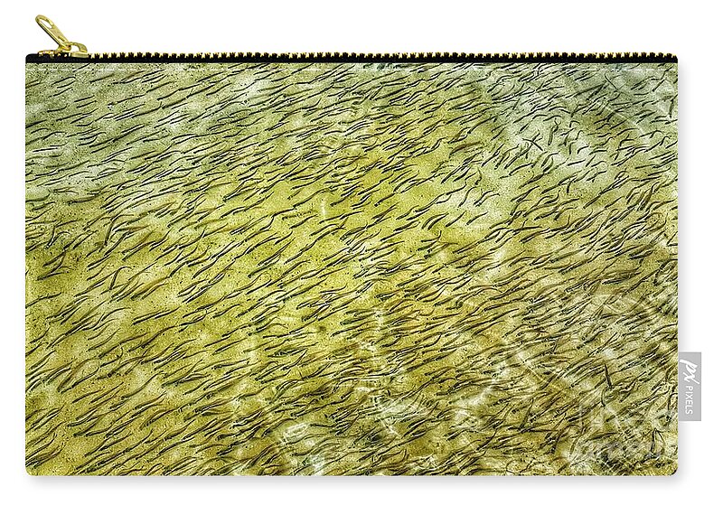 Fish Zip Pouch featuring the photograph Togetherness by Rachel Hannah