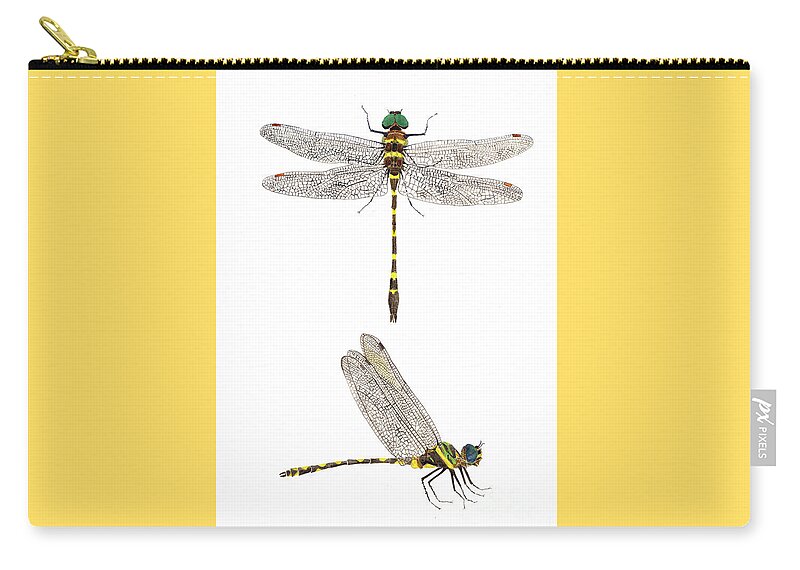 Dragonfly Zip Pouch featuring the painting Top and Side Views of a Male Georgia River Cruiser by Thom Glace