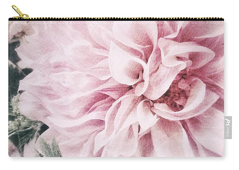 Dahlia Zip Pouch featuring the photograph Touch of Blush Dahlia by Jill Love