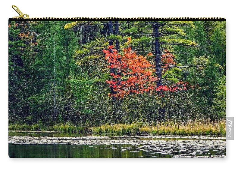  Zip Pouch featuring the photograph Touch of color by Kendall McKernon