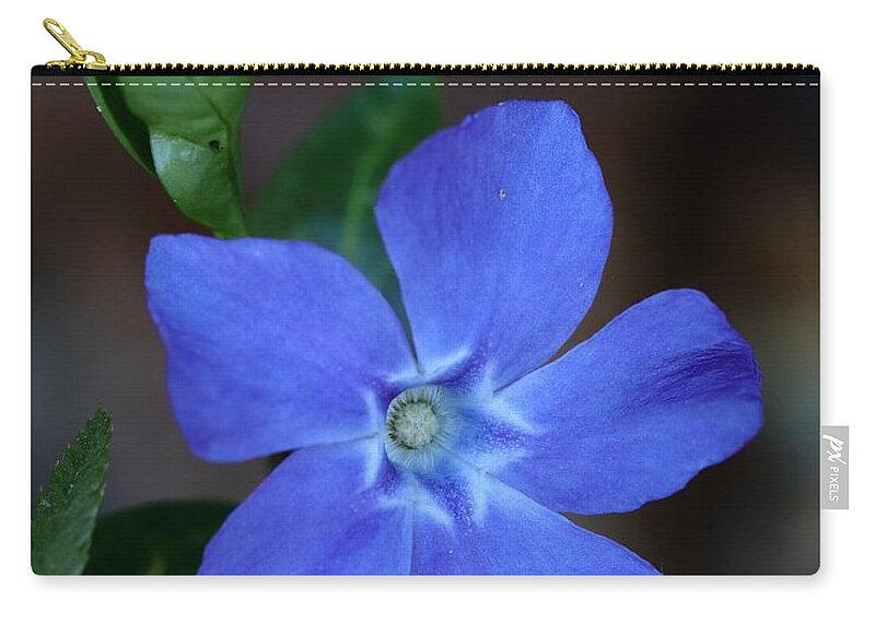 Vinca Zip Pouch featuring the photograph Touch of Spring by I'ina Van Lawick