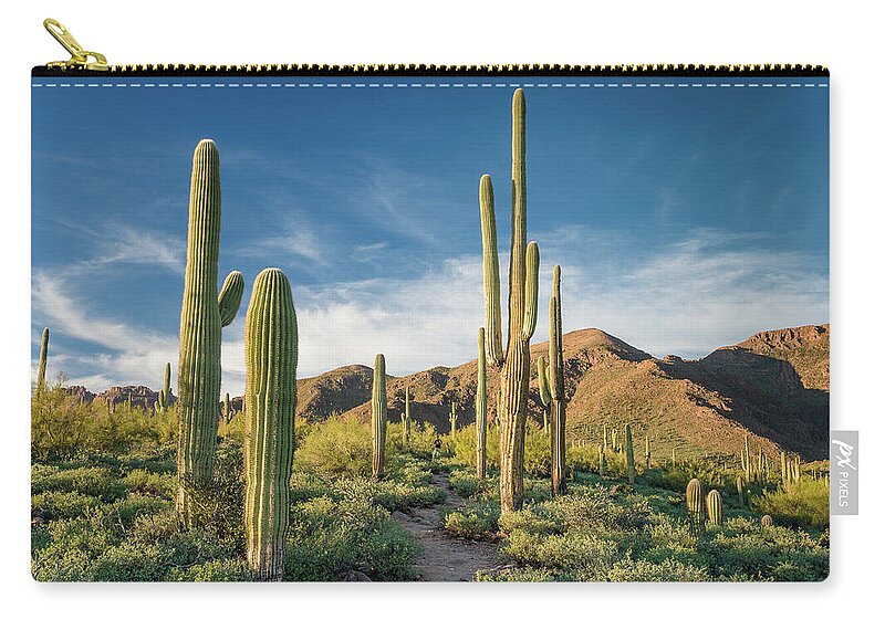 Superstition Mountains Zip Pouch featuring the photograph Trail through Saguaro by Greg Nyquist