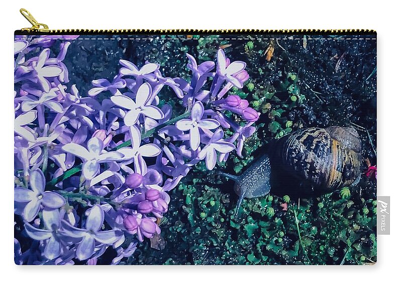  Zip Pouch featuring the photograph Trails by Lisa Anne Warren