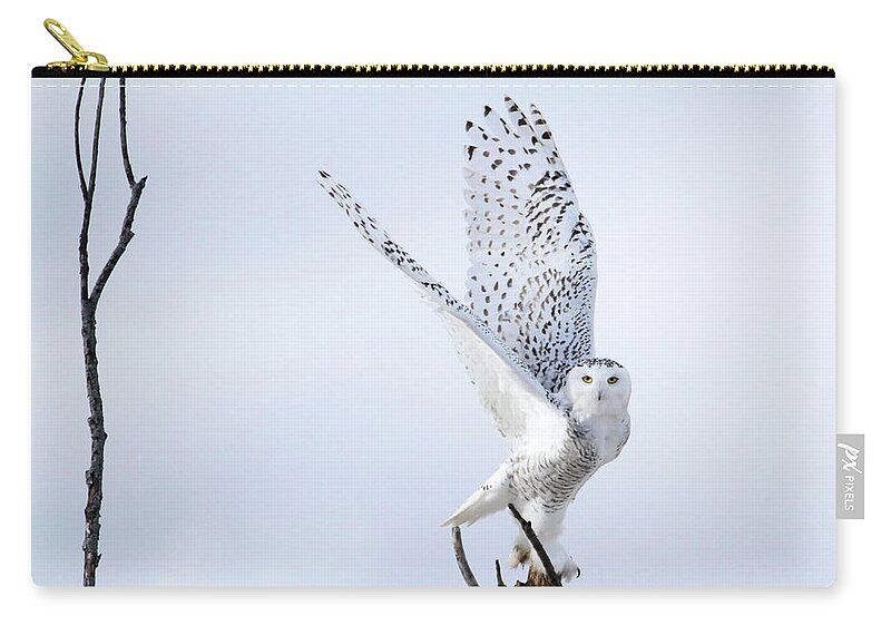 Flight Zip Pouch featuring the photograph Transcend by Heather King