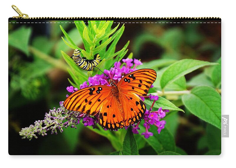  Zip Pouch featuring the photograph Transformation by Rodney Lee Williams