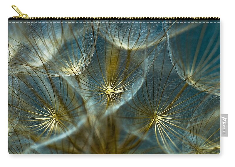 Dandelion Zip Pouch featuring the photograph Translucid Dandelions by Iris Greenwell
