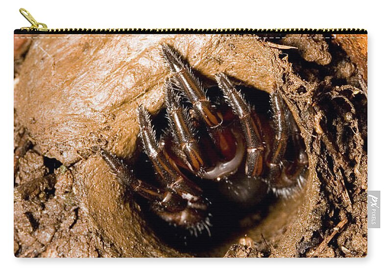 Trapdoor Spider Zip Pouch featuring the photograph Trapdoor Spider by B. G. Thomson