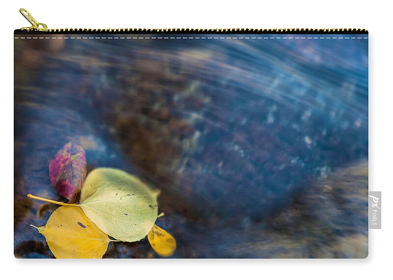 Fall Zip Pouch featuring the photograph Trapped by Jonathan Nguyen