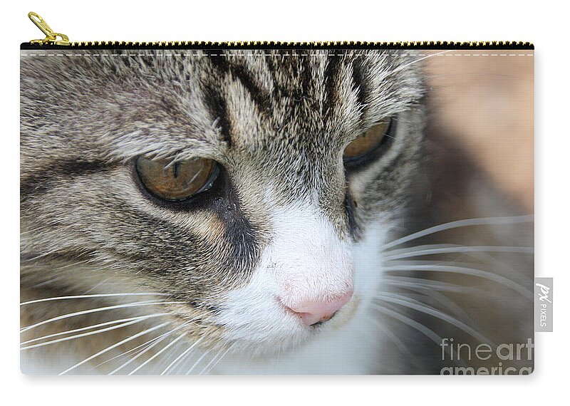 Cat Zip Pouch featuring the photograph Traveller by Wendy Coulson