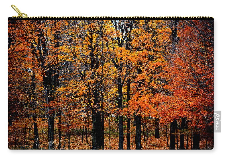 Fall Zip Pouch featuring the photograph Tree Confetti by Kimberly Woyak