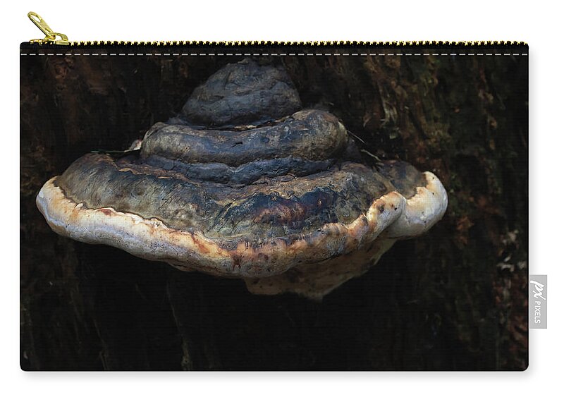 Fungus Zip Pouch featuring the photograph Tree Fungus by Tikvah's Hope