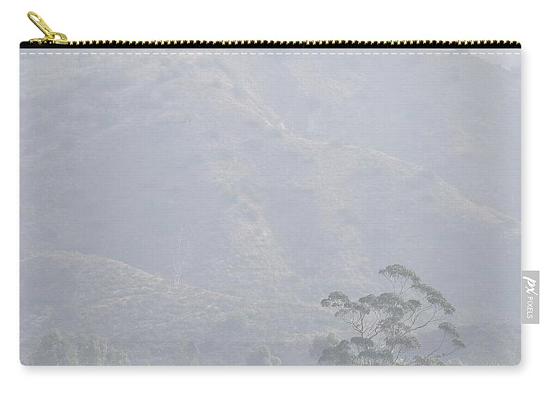 Linda Brody Zip Pouch featuring the photograph Tree in Early Morning Mist by Linda Brody