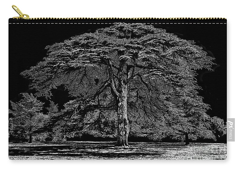 Tree Zip Pouch featuring the photograph Tree in England by Walt Foegelle
