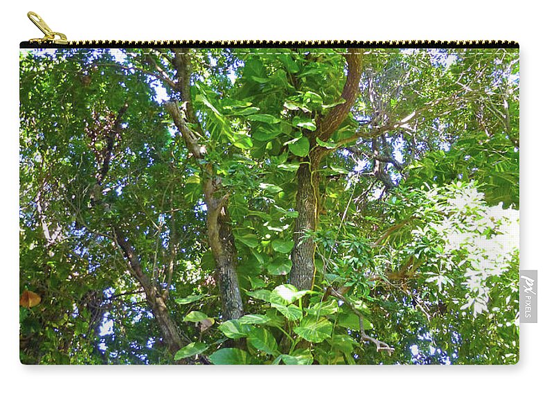 Tree Zip Pouch featuring the photograph Tree M1 by Francesca Mackenney