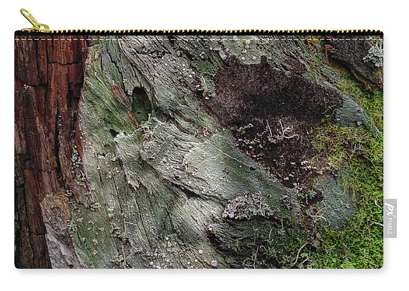 Trees Zip Pouch featuring the photograph Tree Memories # 38 by Ed Hall
