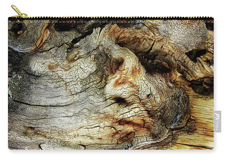 Trees Zip Pouch featuring the photograph Tree Memories # 5 by Ed Hall