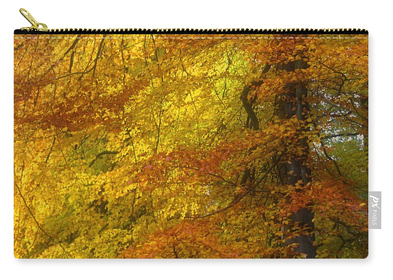 Autumn Zip Pouch featuring the photograph Tree of Fire - Impressionist by Ann Garrett