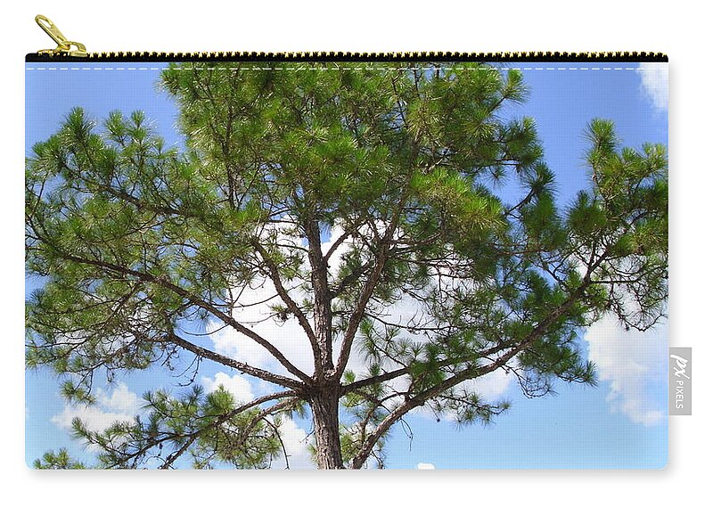 Tree Zip Pouch featuring the photograph Tree of Life by Carly Stroman