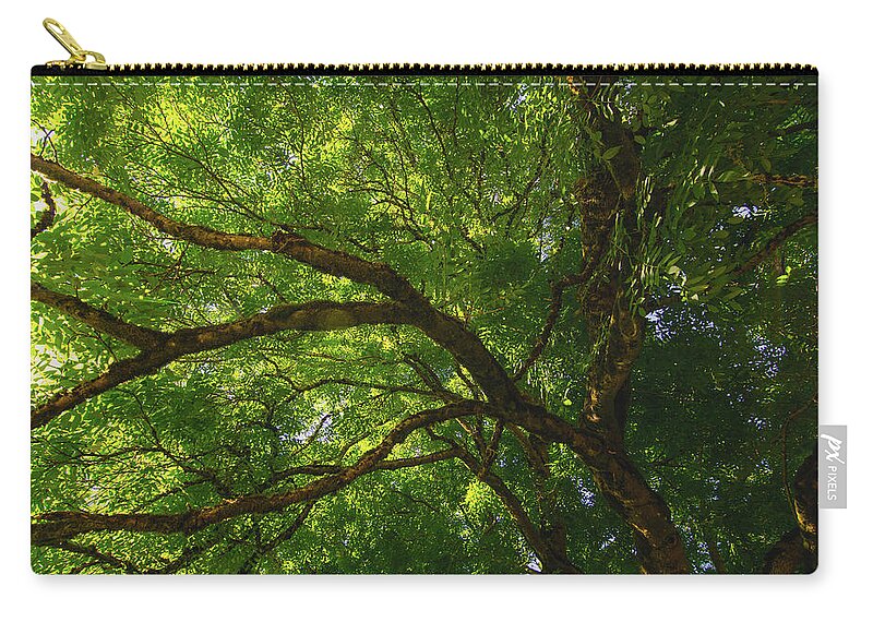 Gigantic Tree Zip Pouch featuring the photograph Tree Story 3 by Bonnie Bruno