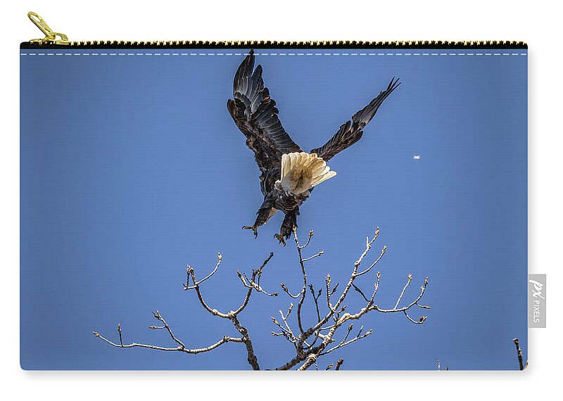 American Bald Eagle Zip Pouch featuring the photograph Tree Top Eagle by Ray Congrove