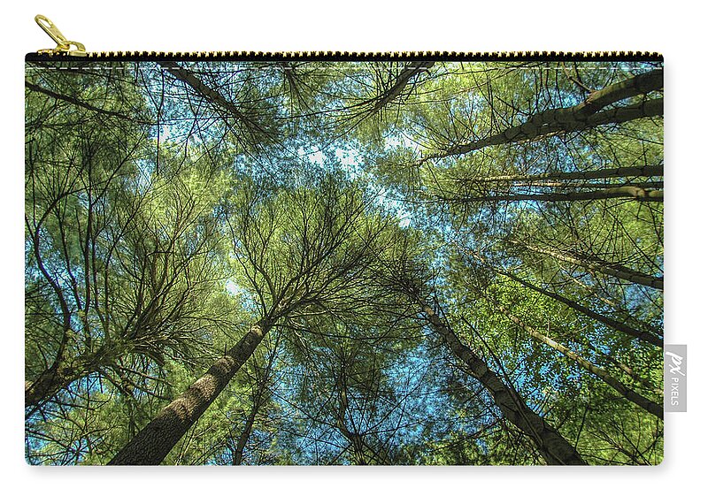 Forest Carry-all Pouch featuring the photograph Tree Tops by Cathy Kovarik