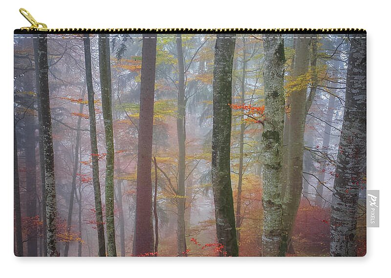 Forest Zip Pouch featuring the photograph Tree trunks in fog by Elena Elisseeva