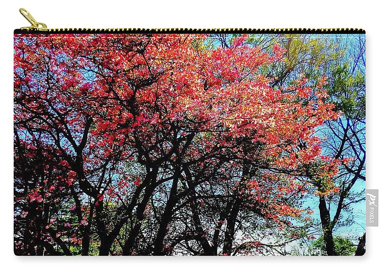 Photograph Zip Pouch featuring the photograph Trees Blooming by MaryLee Parker
