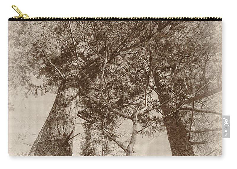 Trees Carry-all Pouch featuring the photograph Trees Colliding by Kathy Paynter
