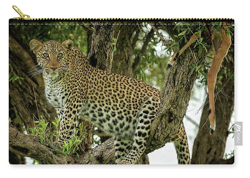 Leopard Zip Pouch featuring the photograph Treetop Leopard with Prey 1 by Steven Upton
