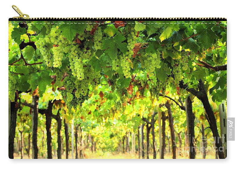 Vineyard Zip Pouch featuring the photograph Trellissed Grapes 3 by Angela Rath