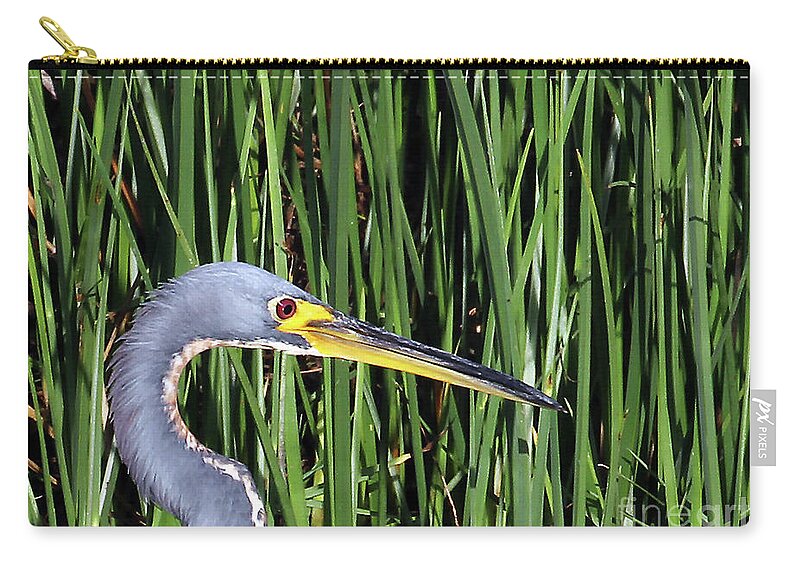 Tri-colored Heron In Reeds Zip Pouch featuring the photograph Tri-colored Heron in Reeds by Jennifer Robin