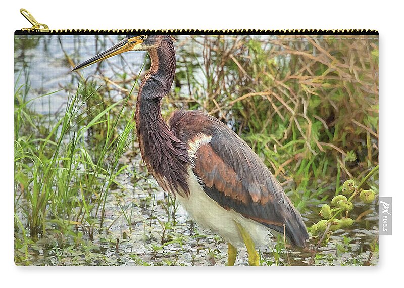 Celery Fields Zip Pouch featuring the photograph Tri-Colored Heron by Richard Goldman