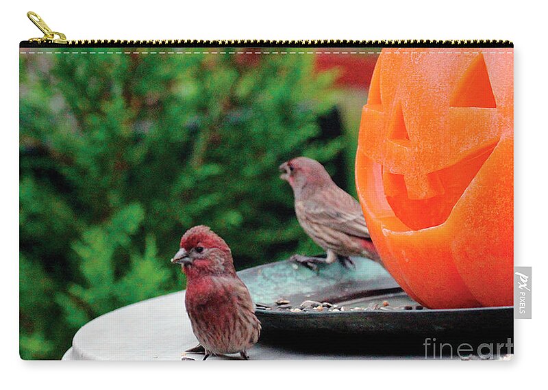 Wildbirds Zip Pouch featuring the photograph House Finches Trick OR Treating by Patricia Youngquist