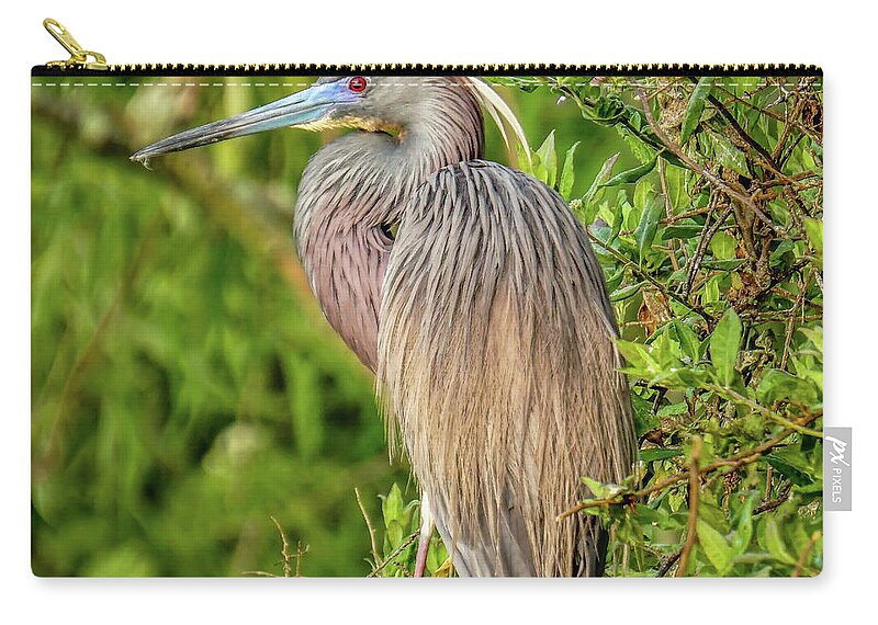 Florida Zip Pouch featuring the photograph Tricolored Heron by Jane Luxton