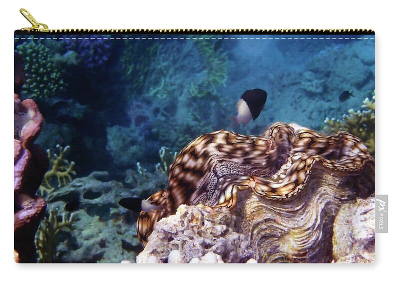 Sea Zip Pouch featuring the photograph Tridacna Squamosa by Johanna Hurmerinta