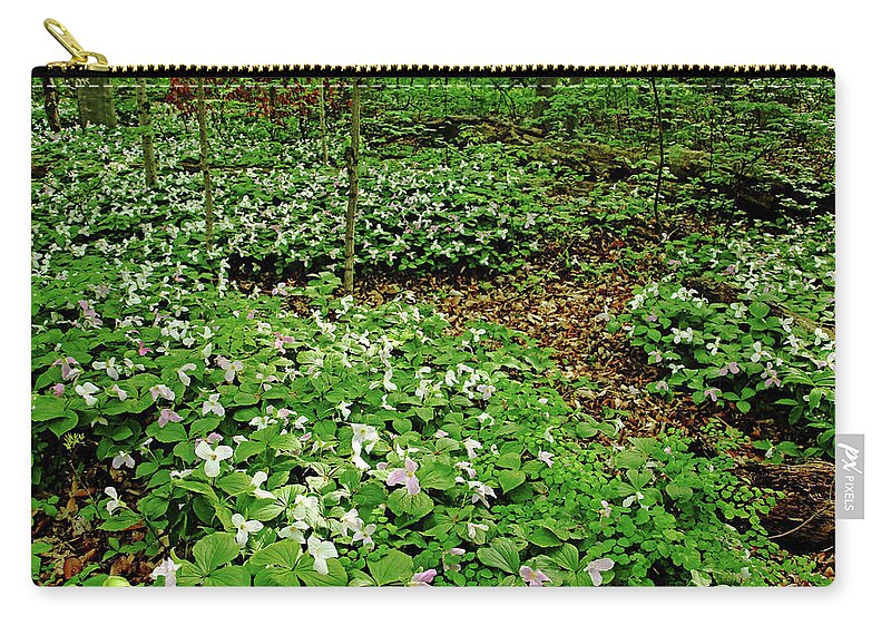 Trilliums Zip Pouch featuring the photograph Trillium Woods IV by Debbie Oppermann