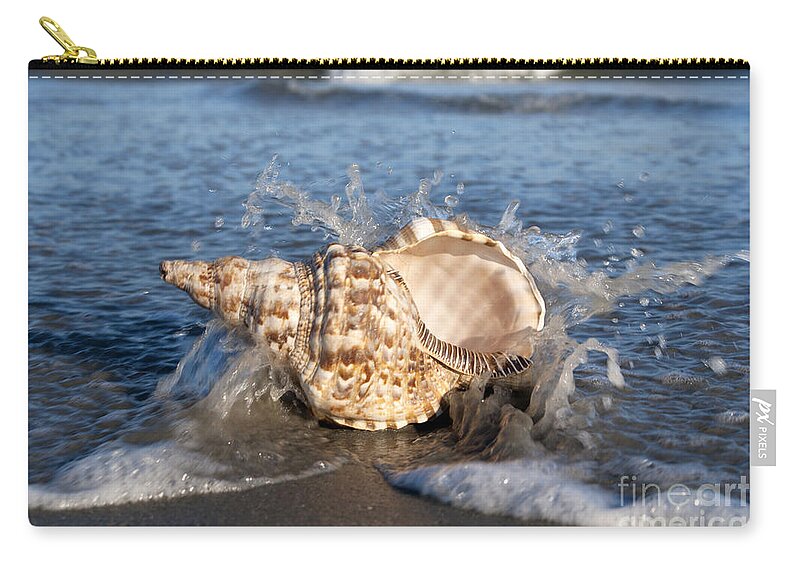 Shell Zip Pouch featuring the photograph Triton shell by Anthony Totah