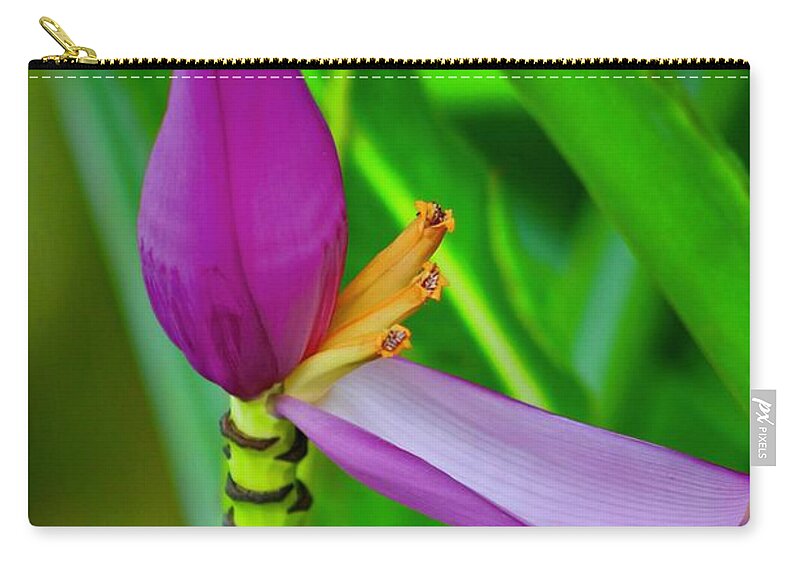 Banana Blossom Zip Pouch featuring the photograph Tropical Banana Blossom by Craig Wood