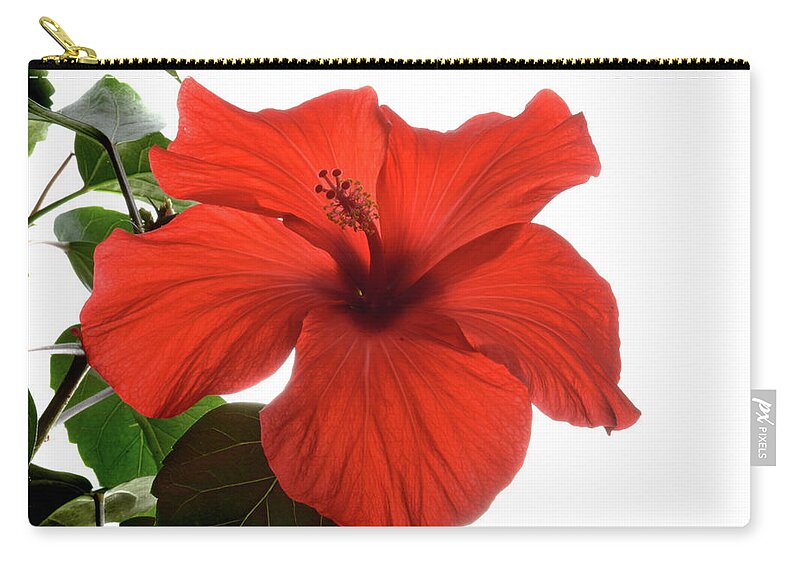 Hibiscus Carry-all Pouch featuring the photograph Tropical Bloom. by Terence Davis