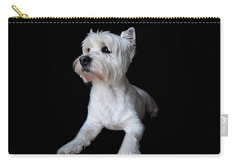 Westie Carry-all Pouch featuring the photograph Trot Posing by Nicole Lloyd