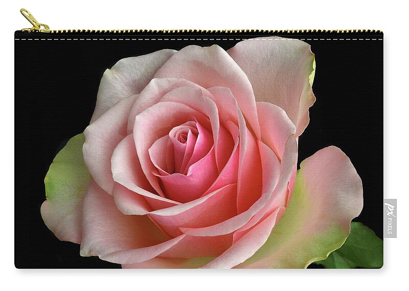 Rose Zip Pouch featuring the photograph True Colours. by Terence Davis